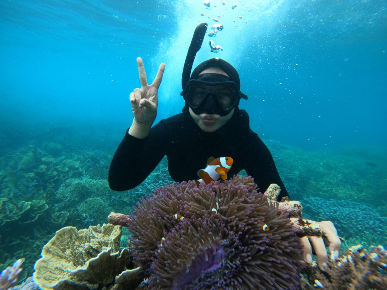 Keindahan Bawah Laut Karimun Jawa, Surganya Pencinta Snorkeling